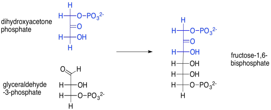 PSfructosebisphosphate.png