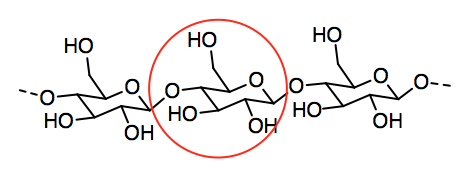 Estructura esquelética de la celulosa con una sola subunidad de glucosa circulada.