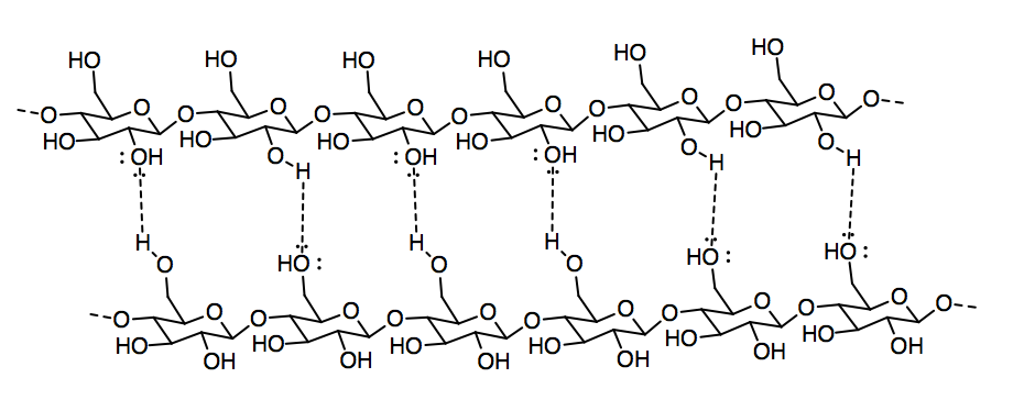 Dos hebras de celulosa unidas a través de enlaces de hidrógeno.