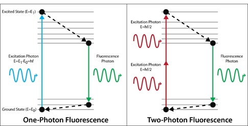 1 and 2 photon scheme.jpg