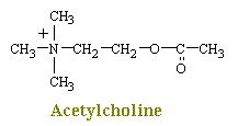 Acetyc~1.gif (1753 bytes)