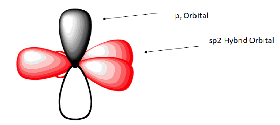 The s p 2 hybrid orbital is along the xy axis while the p orbital is along the z orbital. 