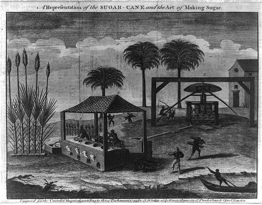 Slaves using machines on a plantation to produce sugar.