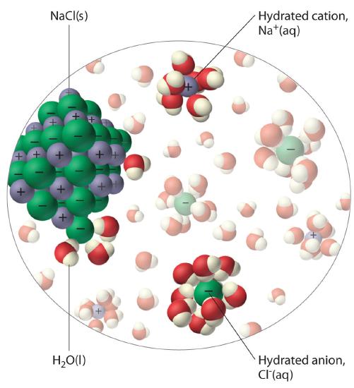 A sodium chloride lattice with separated sodium and chloride ions each being surrounded by a group of water molecules.