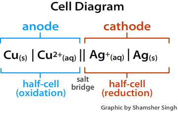 cell_diagram1.png