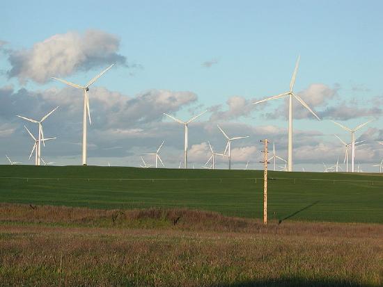 Windmills on a wind farm.