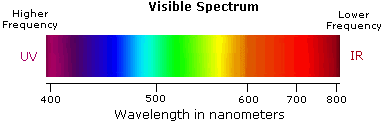 Visible light spectrum with wavelength measured in nanometers. 