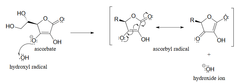El ascorbato reacciona con el radical hidroxilo para producir el radical ascorbilo y el ion hidróxido.