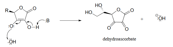 El ascorbato reacciona con el radical hidroxilo y el radical ascorbilo para producir deshidroascorbato e ion hidróxido.