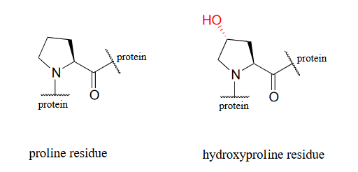 Dibujo lineal de unión de residuo de prolina y residuo de hidroxiprolina.