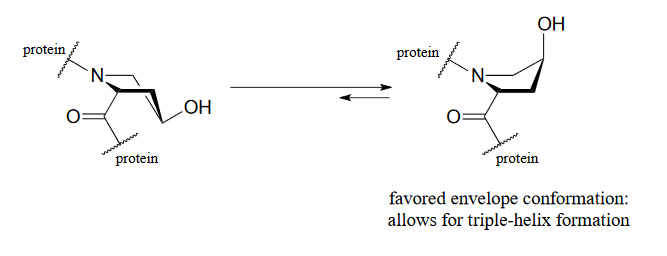 Favored envelope conformation allows for triple helix formation.