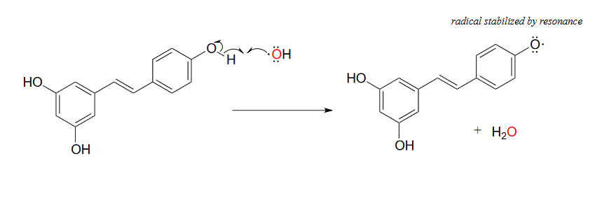 El resveratrol reacciona con el radical hidroxilo para producir un radical fenólico que se estabiliza por resonancia y agua.