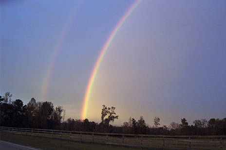 A photograph of a double rainbow.