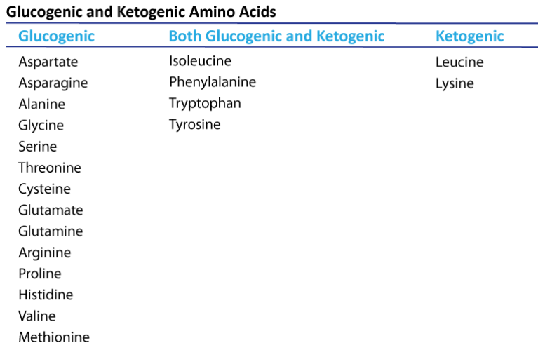 Glucogenic and Ketogenic Amino Acids.png