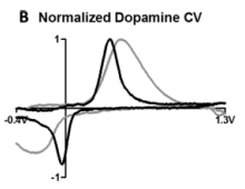 Fig02b_DopamineCV.png