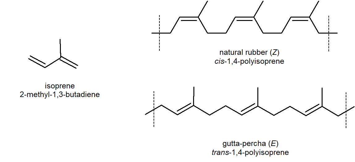 Bond line drawings of isoprene (2-metyl-1,3-butadiene), natural rubber Z (cis,-1,4-polyisoprene), and gutta-percha E (trans-1,4-polyisoprene). 