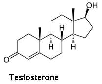 Testosterone.png