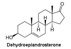Dehydroepiandrosterone.png