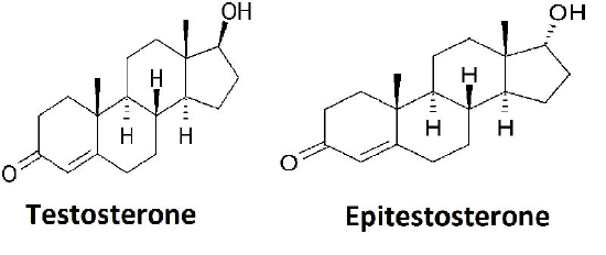 Testosterone,Epitestosterone.png