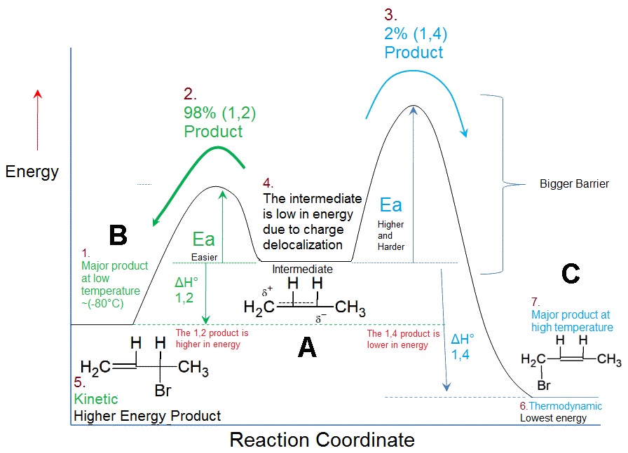 16.9 Versus Thermodynamic Products Chemistry LibreTexts