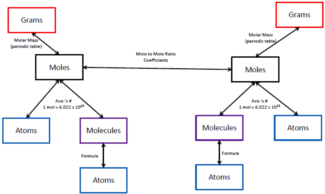 Graphic organizer showing some stoichiometric relationships. There are two mirror images depicting grams, moles, atoms, molecules, and atoms. There are arrows pointing both ways between the grams and moles, moles and atoms, moles and molecules, and molecules and atoms. Both images are connected via the moles with a line indicating the mole to mole ration coeffecients.