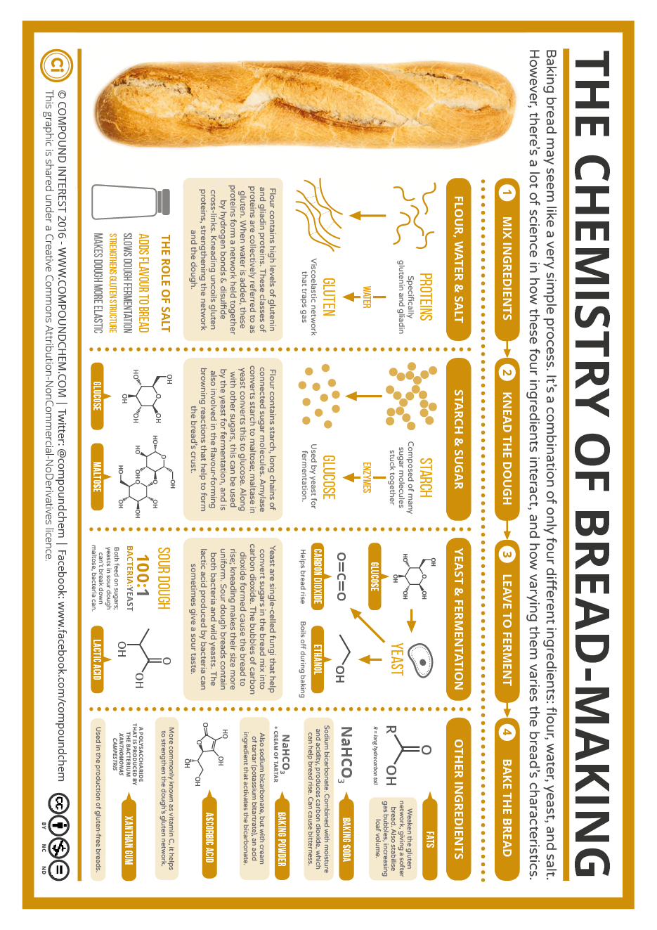 ChemistryOfBreadHandout.png