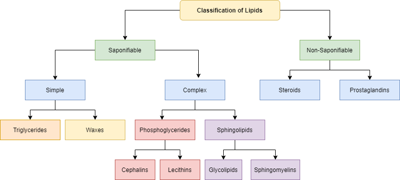 Lipids classification.png
