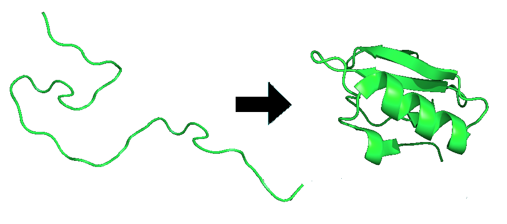 20120922030628!Protein_folding.png