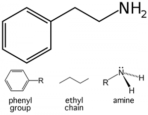 Phenethylamine_skeletal_structure.png