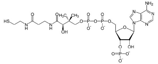 Biochemistry_Page_357_Image_0005.jpg