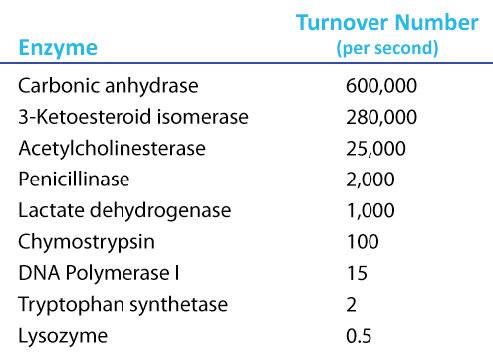 Biochemistry_Page_353_Image_0003.jpg