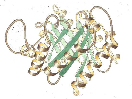 Biochemistry_Page_354_Image_0005.jpg