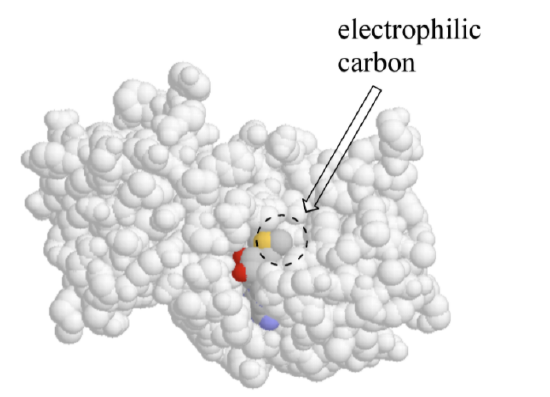 space-filling 3D structure of SAM molecule in enzyme active site, with electrophilic carbon highlighted.png