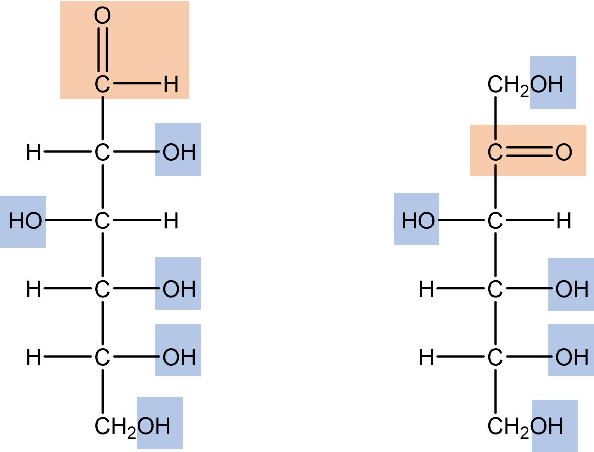structures of polyhydroxy aldehyde and polyhydroxy ketone