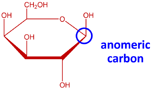 beta D-galactose (with anomeric carbon highlighted).png