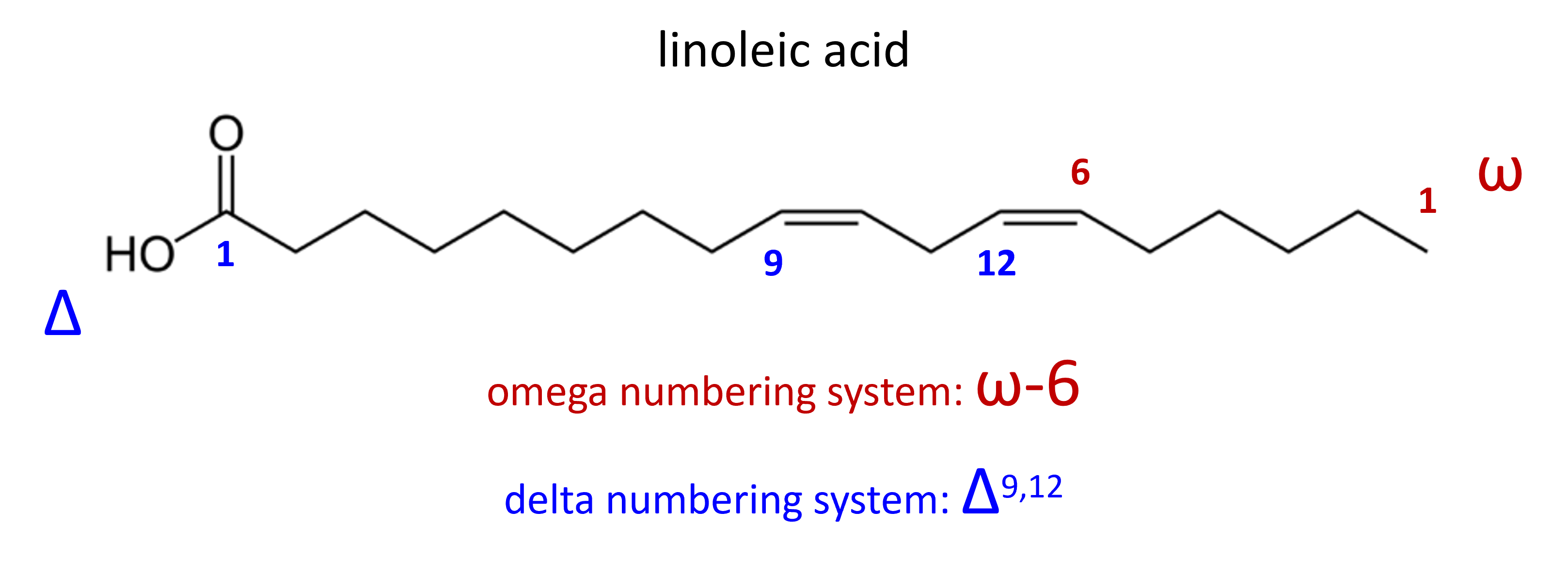 fatty acid numbering systems 