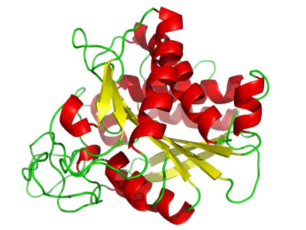 Biochemistry_Page_388_Image_0005.jpg