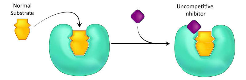Biochemistry_Page_368_Image_0003.jpg