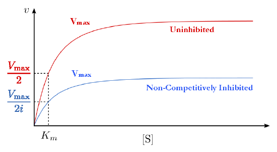 Noncompetitive Inhibition V vs S KGA2.png