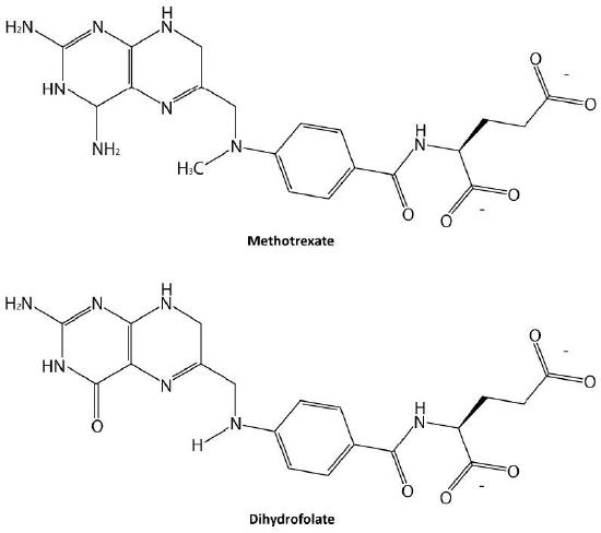 Biochemistry_Page_364_Image_0005.jpg