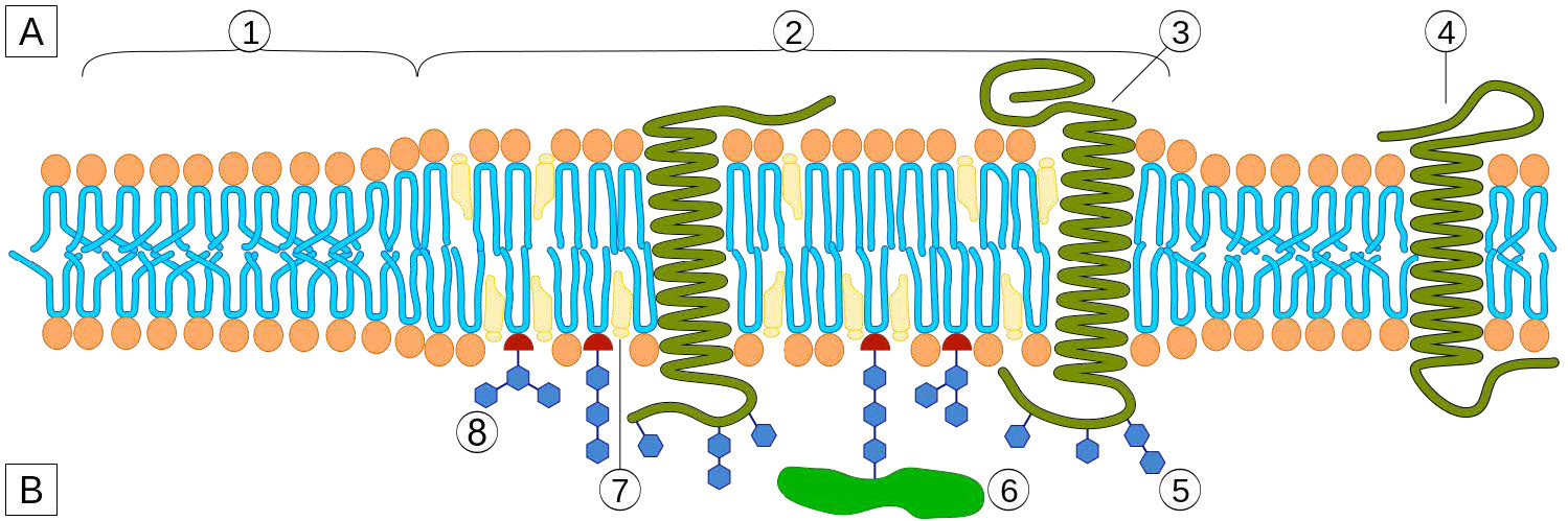Biochemistry_Page_277_Image_0003.jpg