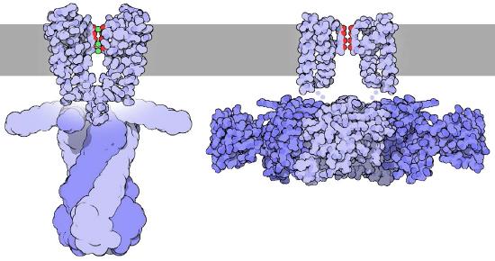 Biochemistry_Page_291_Image_0003.jpg
