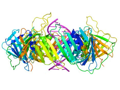 Biochemistry_Page_713_Image_0003.jpg