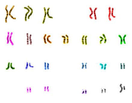 Biochemistry_Page_708_Image_0005.jpg