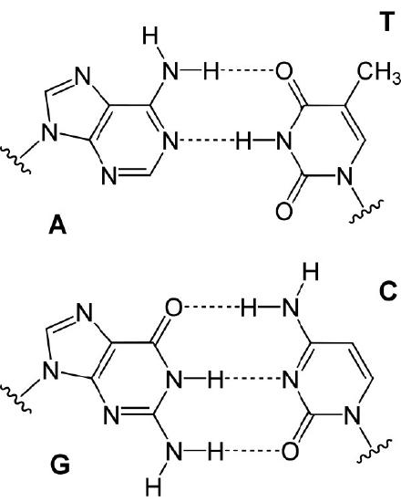 Biochemistry_Page_709_Image_0005.jpg