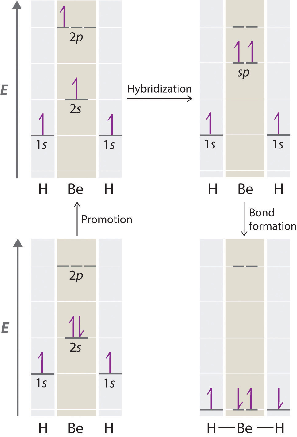 Hybridization And Geometry Chart