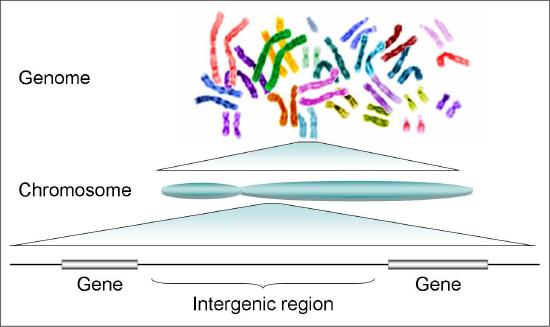 Biochemistry_Page_699_Image_0003.jpg