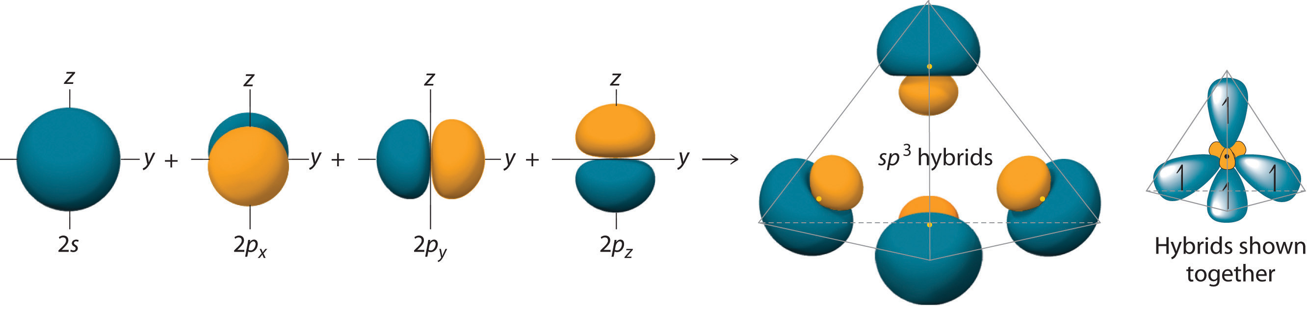 3 10 Shapes Of Molecules Vsepr Theory And Valence Bond Theory Chemistry Libretexts