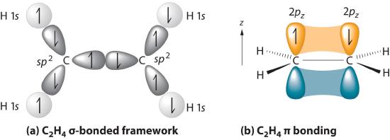 On the left is ethenes sigma bonded framework. on the right is ethenes pi bonding. 