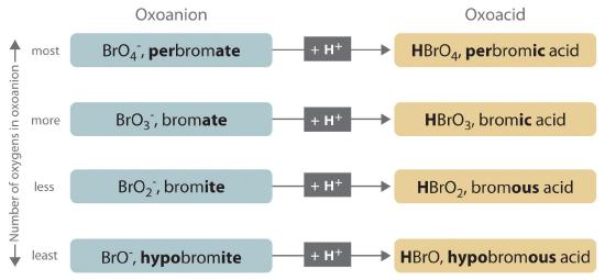 The oxoanions perbromate, bromate, bromite, and hypobromite reacts with hydrogen to form perbromic acid, bromic acid, bromous acid, and hypobromous acid. These are the oxoacid forms.